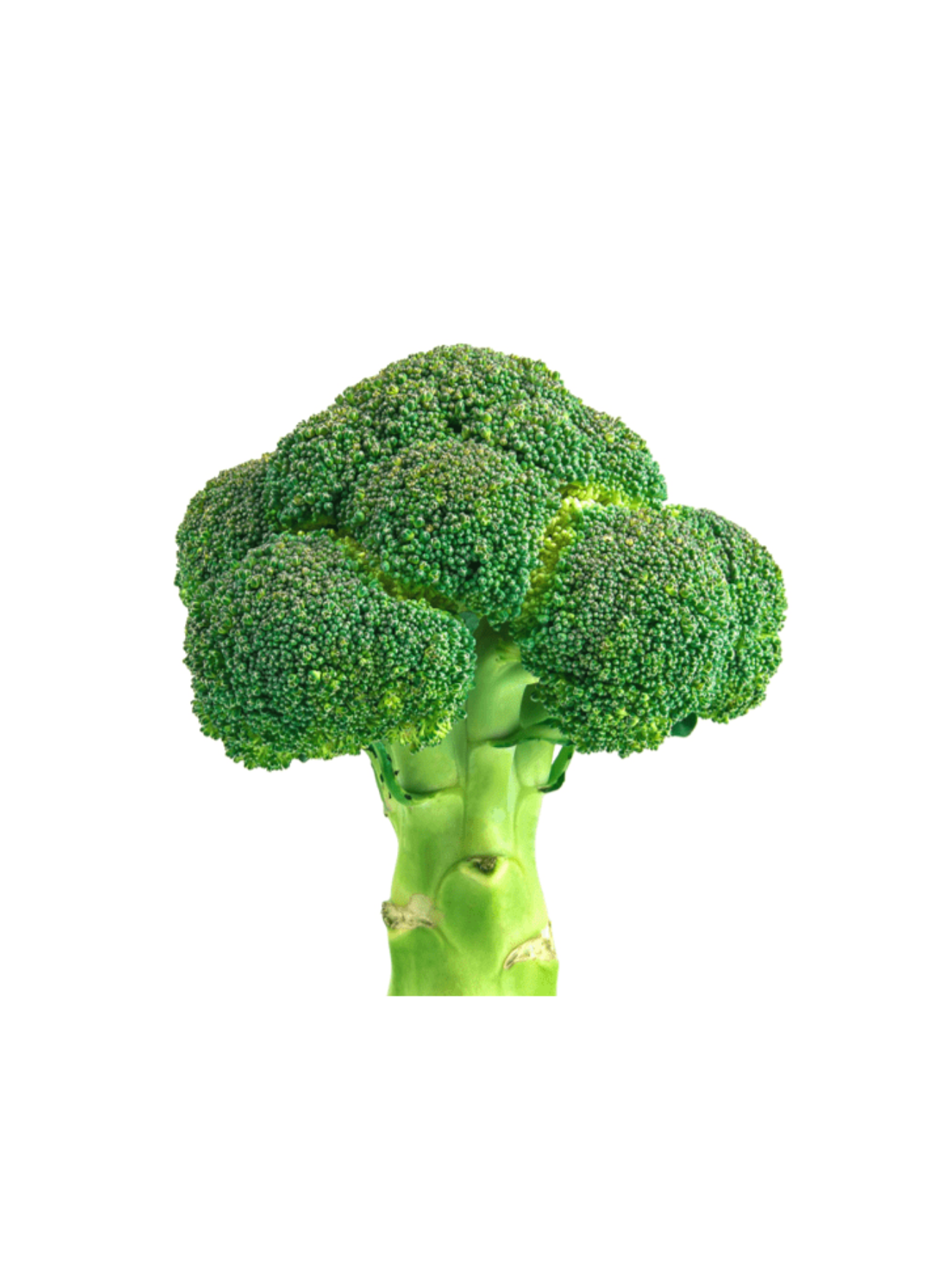AUST BROCCOLI (+/- 400G)