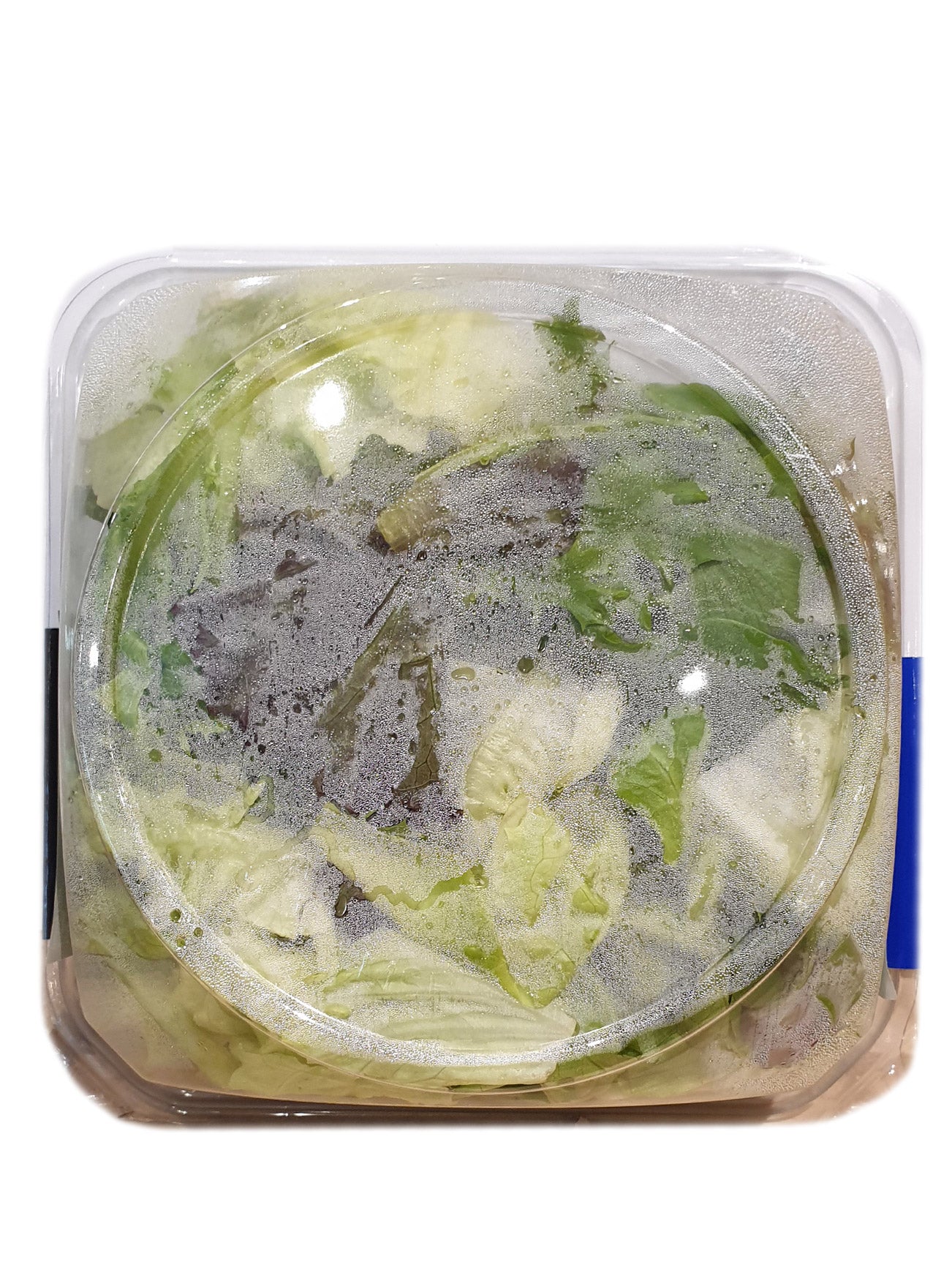 GG RTE GARDEN SALAD IN BOWL 130G